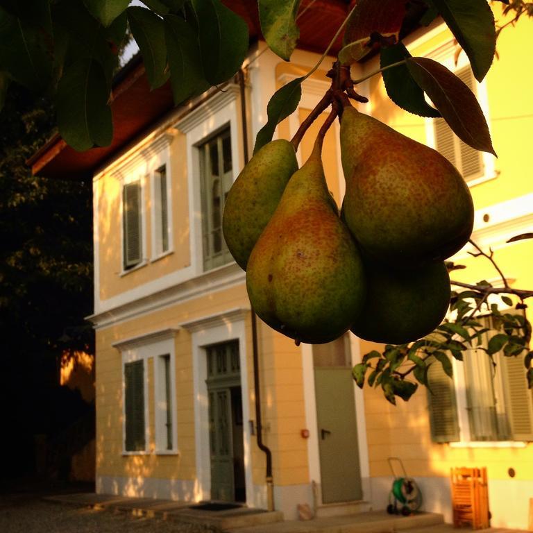 Villa D'Azeglio Albiano D'Ivrea Exterior photo