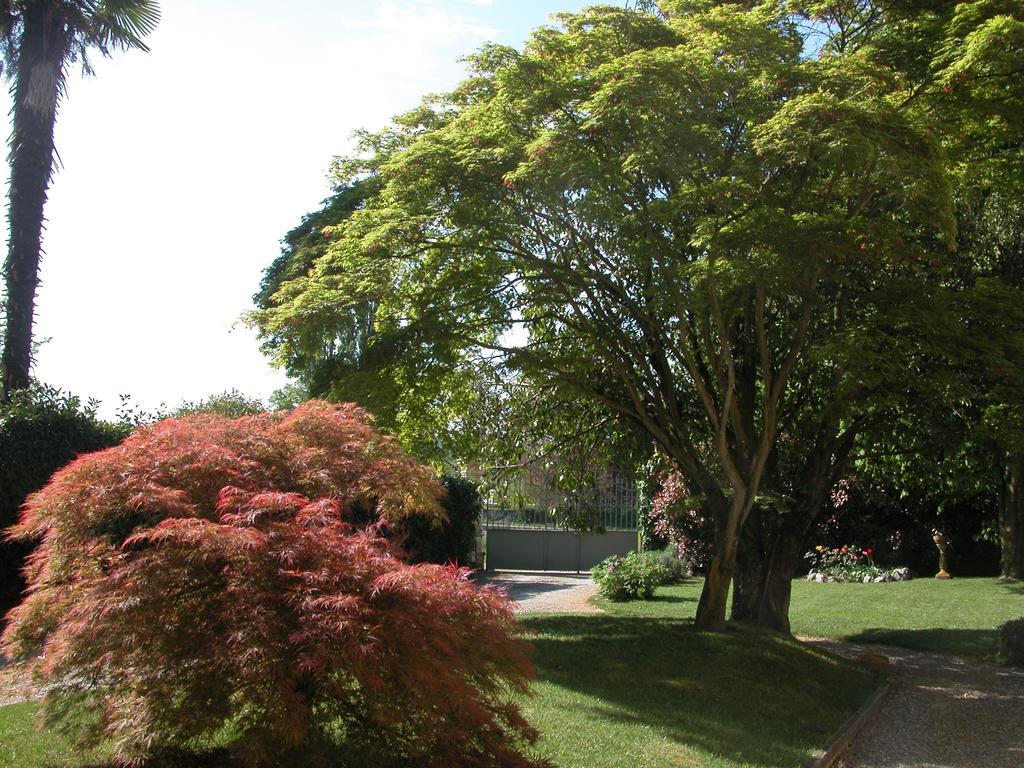 Villa D'Azeglio Albiano D'Ivrea Exterior photo