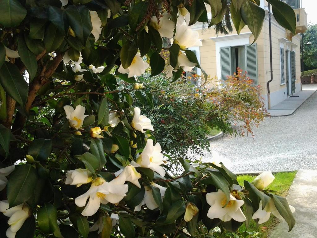 Villa D'Azeglio Albiano D'Ivrea Exterior photo